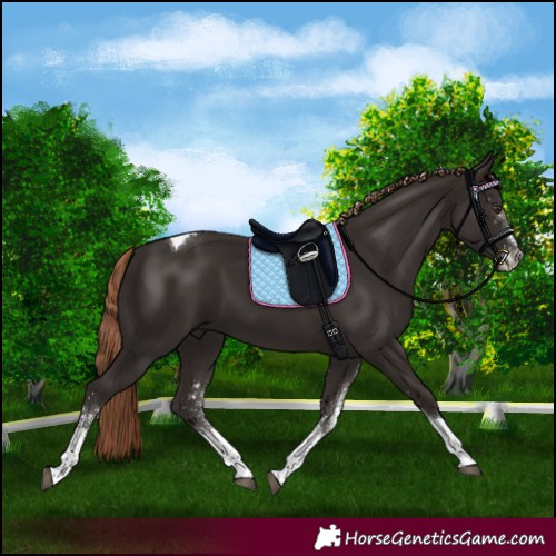 Horse Color:White Spotted Liver Chestnut Tobiano 