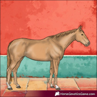 Horse Color:Chestnut Rabicano