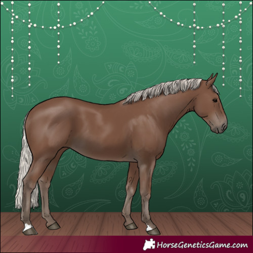 Horse Color:Silver Black