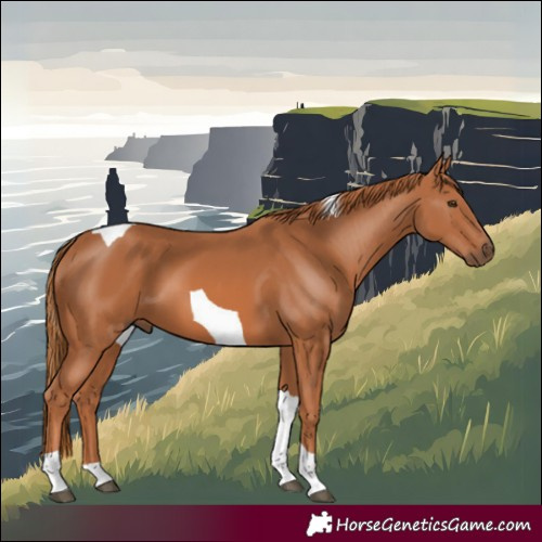Horse Color:Chestnut Tobiano 