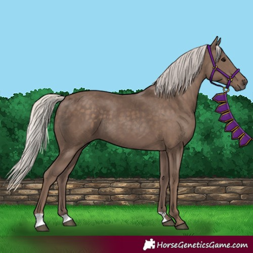 Horse Color:Silver Black 