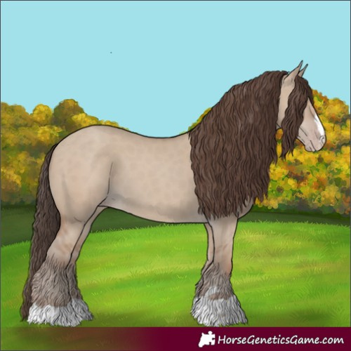 Horse Color:Classic Champagne Dun