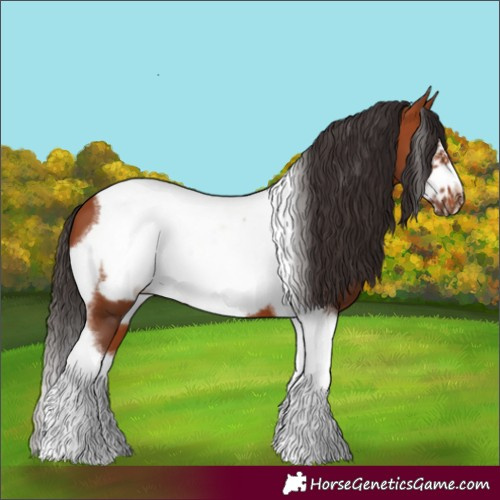 Horse Color:Bay Tobiano Frame 