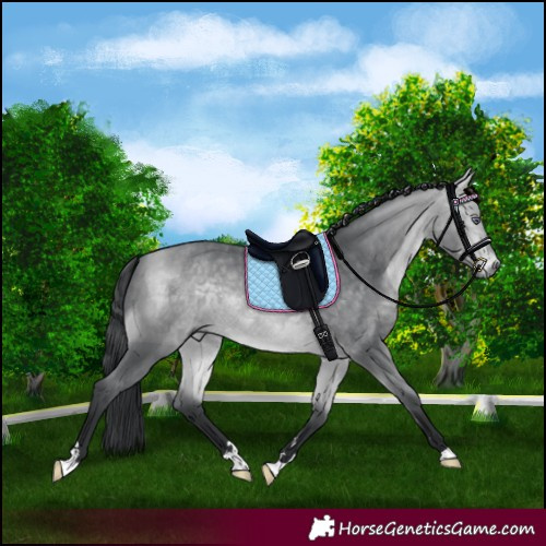 Horse Color:Bay Chinchilla 