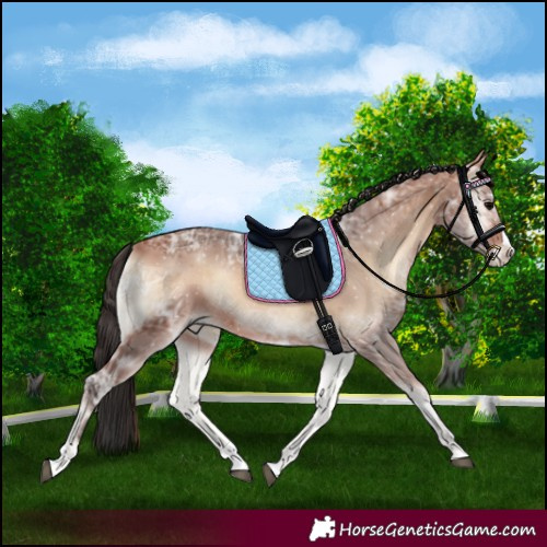 Horse Color:Bay Ice Onyx Splash