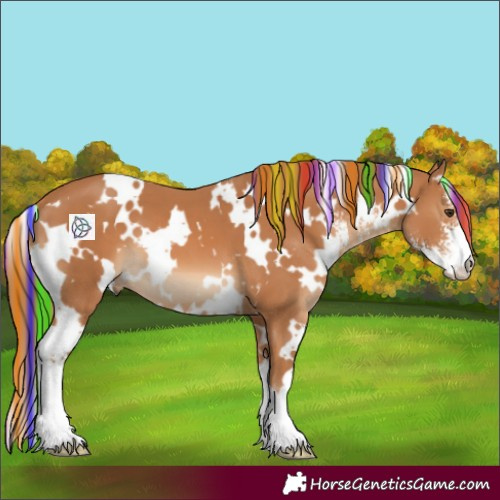 Horse Color:Painted White Spotted Chestnut Sabino 