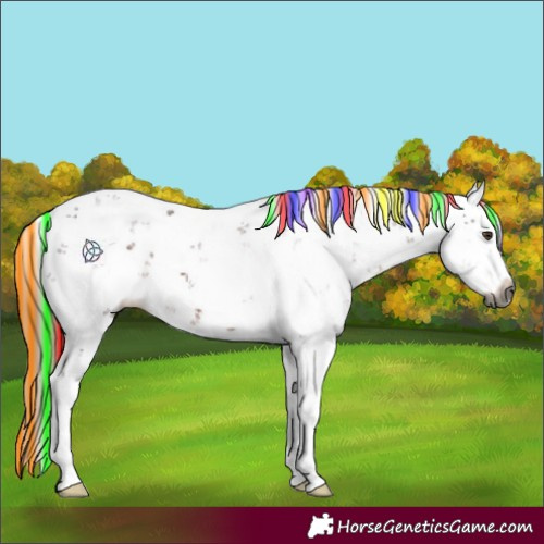 Horse Color:Gray Painted Liver Chestnut Sabino Splash