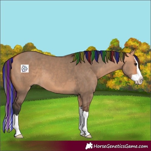 Horse Color:Painted Bay Dun Splash