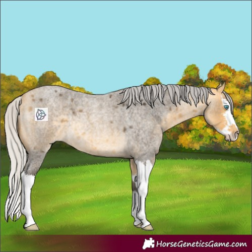 Horse Color:Silver Buckskin Roan Mushroom Sabino Splash Rabicano