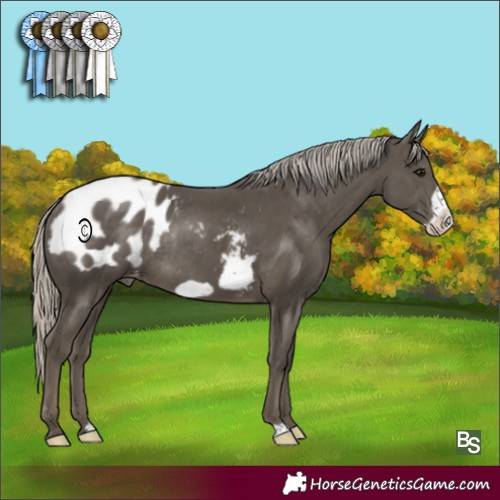 Horse Color:Silver Smoky Black Frame Blanket Rabicano