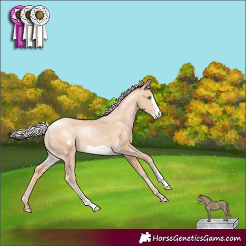 Horse Color:Silver Buckskin Pearl Frame 