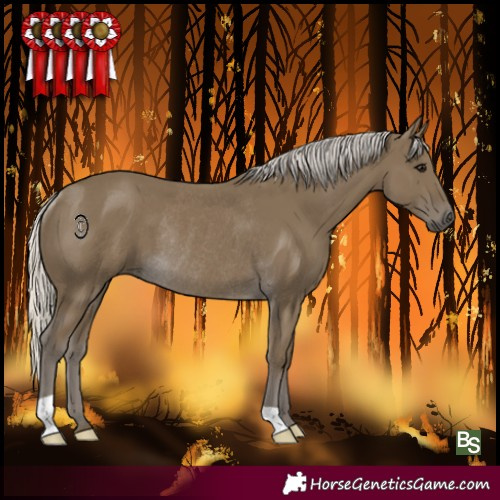 Horse Color:Silver Smoky Black Rabicano