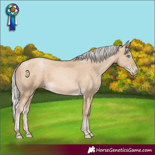 Horse Color:Silver Buckskin Pearl Rabicano 