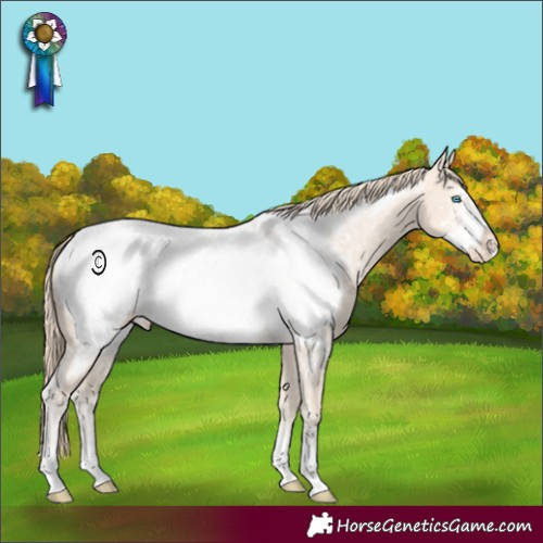 Horse Color:Perlino Frame Near Fewspot
