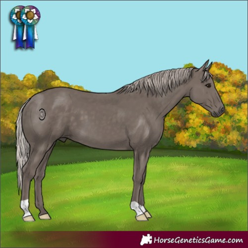 Horse Color:Silver Black 