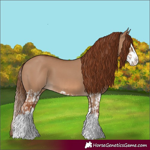 Horse Color:Red Dun Splash  and Red Dun Splash 
