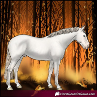 Horse Color:Perlino Roan Dun