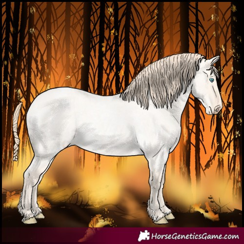 Horse Color:Perlino Roan Dun