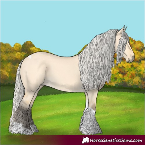 Horse Color:Silver Buckskin Dun Tobiano 