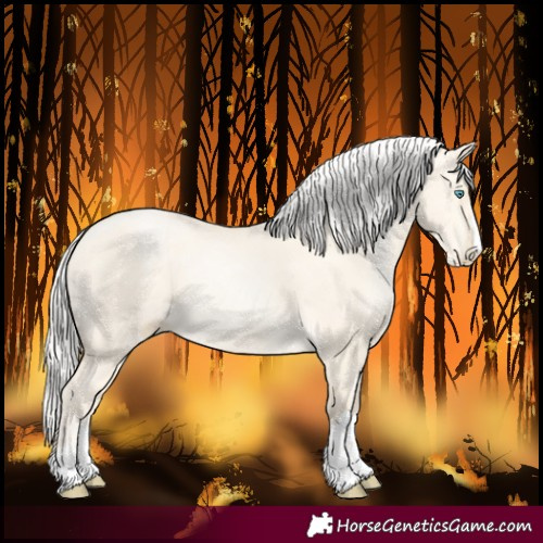 Horse Color:Silver Buckskin Pearl Dun 