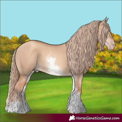 Horse Color:White Spotted Gold Champagne Dun 