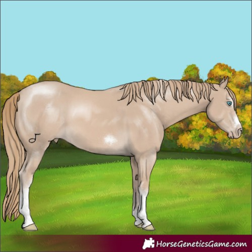Horse Color:Smoky Creme Tobiano Frame Rabicano