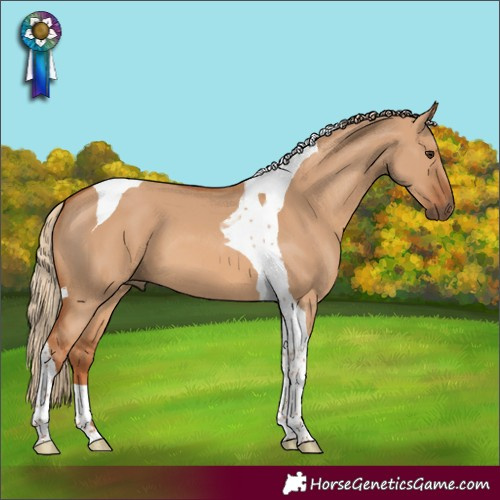 Horse Color:Red Dun Tobiano