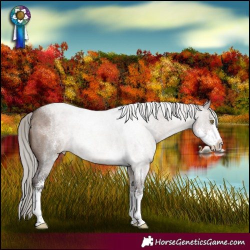 Horse Color:Silver Brown Roan Dun Sabino Appaloosa