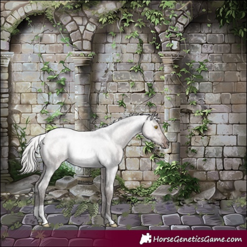 Horse Color:Silver Grullo Roan Rabicano