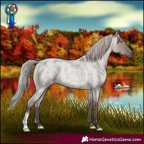 Horse Color:Silver Grullo Roan
