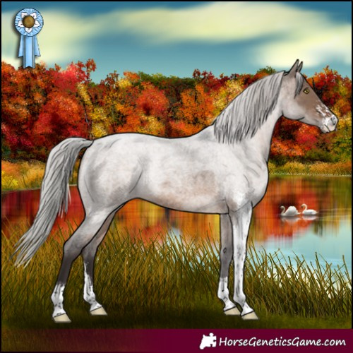 Horse Color:Silver Brown Roan Dun Sabino