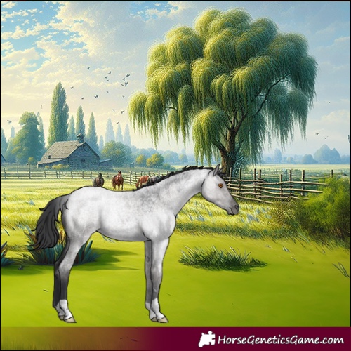 Horse Color:Grullo Roan