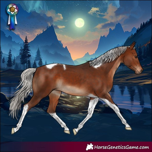 Horse Color:Silver Brown Tobiano 