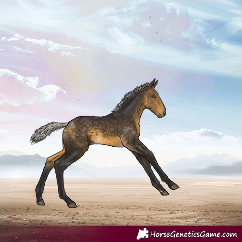 Horse Color:Silver Buckskin 