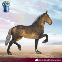 Horse Color:Silver Buckskin 