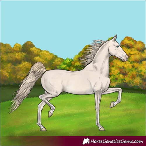 Horse Color:Perlino