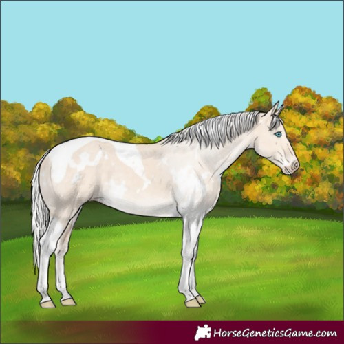 Horse Color:White Spotted Silver Perlino Dun Tobiano