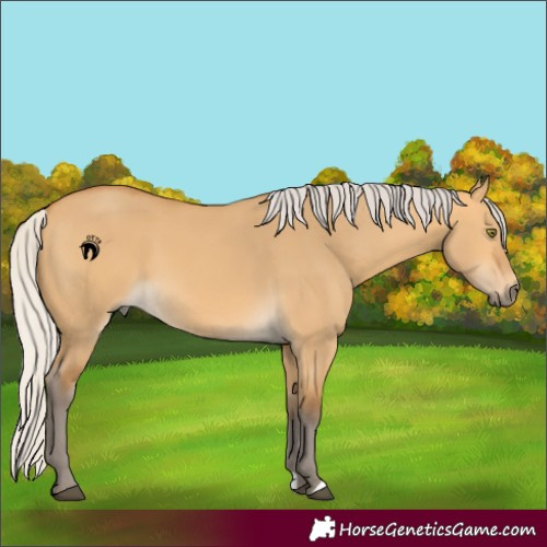 Horse Color:Silver Buckskin Dun 
