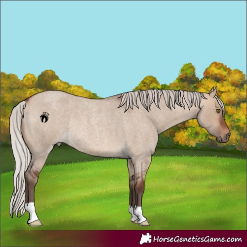 Horse Color:Silver Brown Roan Dun Rabicano