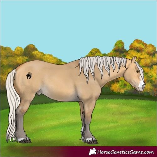 Horse Color:Silver Buckskin Dun Sabino Rabicano 