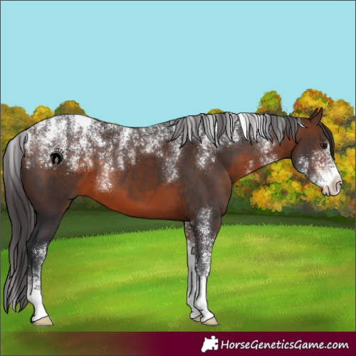 Horse Color:Powder White Brown