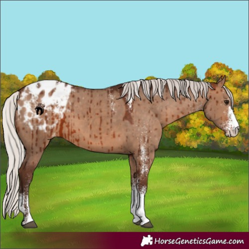 Horse Color:Powder White White Spotted Silver Brown Dun Blanket Brindle 