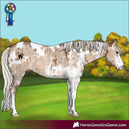 Horse Color:White Spotted Silver Bay Dun Brindle