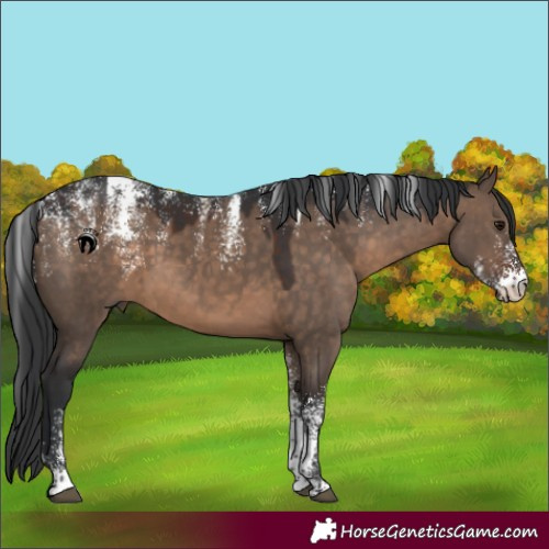 Horse Color:Powder White Brown Dun 