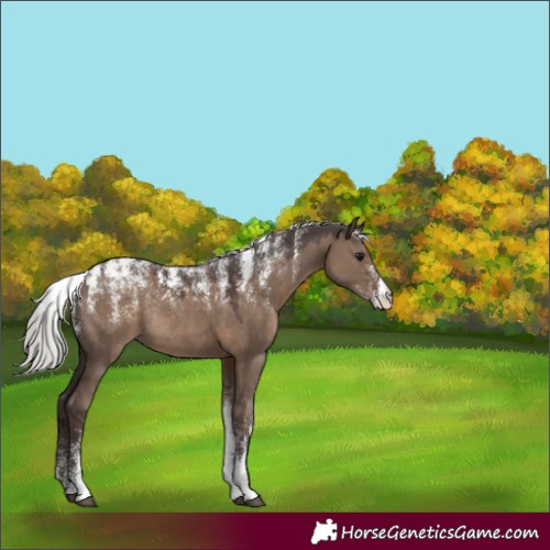 Horse Color:Powder White Silver Grullo Rabicano 