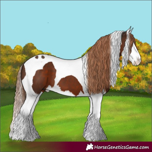 Horse Color:Liver Chestnut Splash Tobiano 