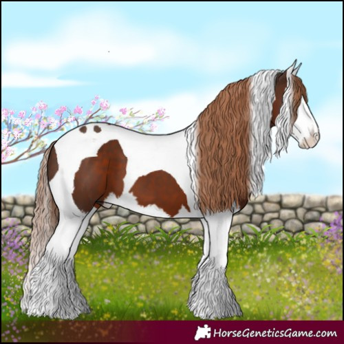 Horse Color:Liver Chestnut Splash Tobiano 