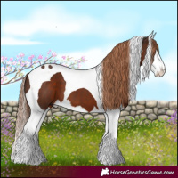Horse Color:Liver Chestnut Splash Tobiano 