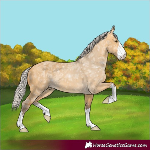 Horse Color:Silver Buckskin Ice Dun 