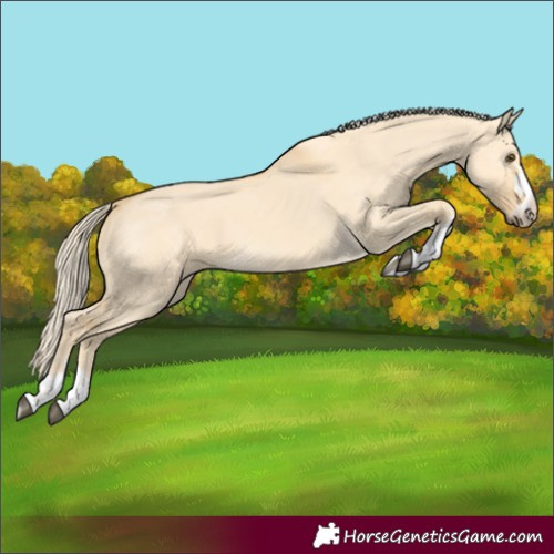 Horse Color:Palomino Dun 